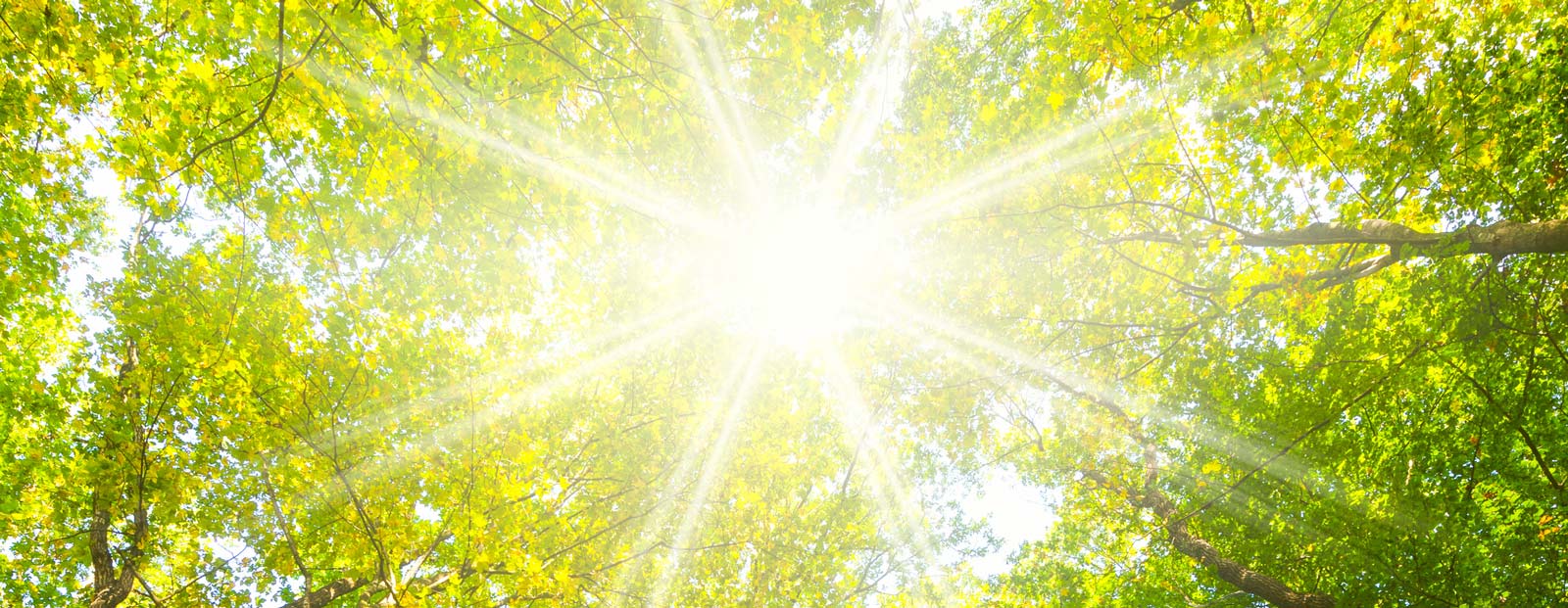 Heizungsmodernisierung